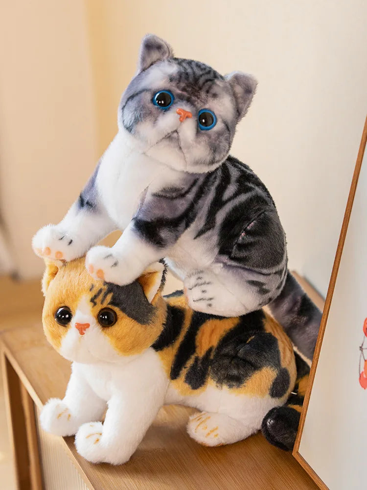 Super Likfelike Fat Face Cat Plushie Stuffed Apple Face Tiger Patterned Kitten Simulated Animals Home Decor Gift for Boy Kids