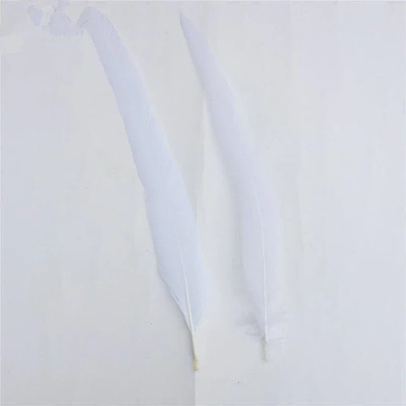 Top Quality 50 Pcs Pure White Rooster Tail Feather 30-35cm 12-14inch Natural Feathers Wedding Decoration clothing accessories