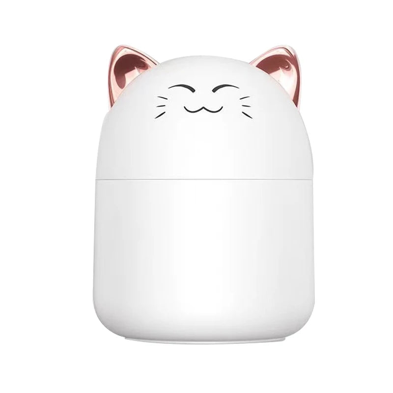 Cute Mini USB Desktop Humidifier