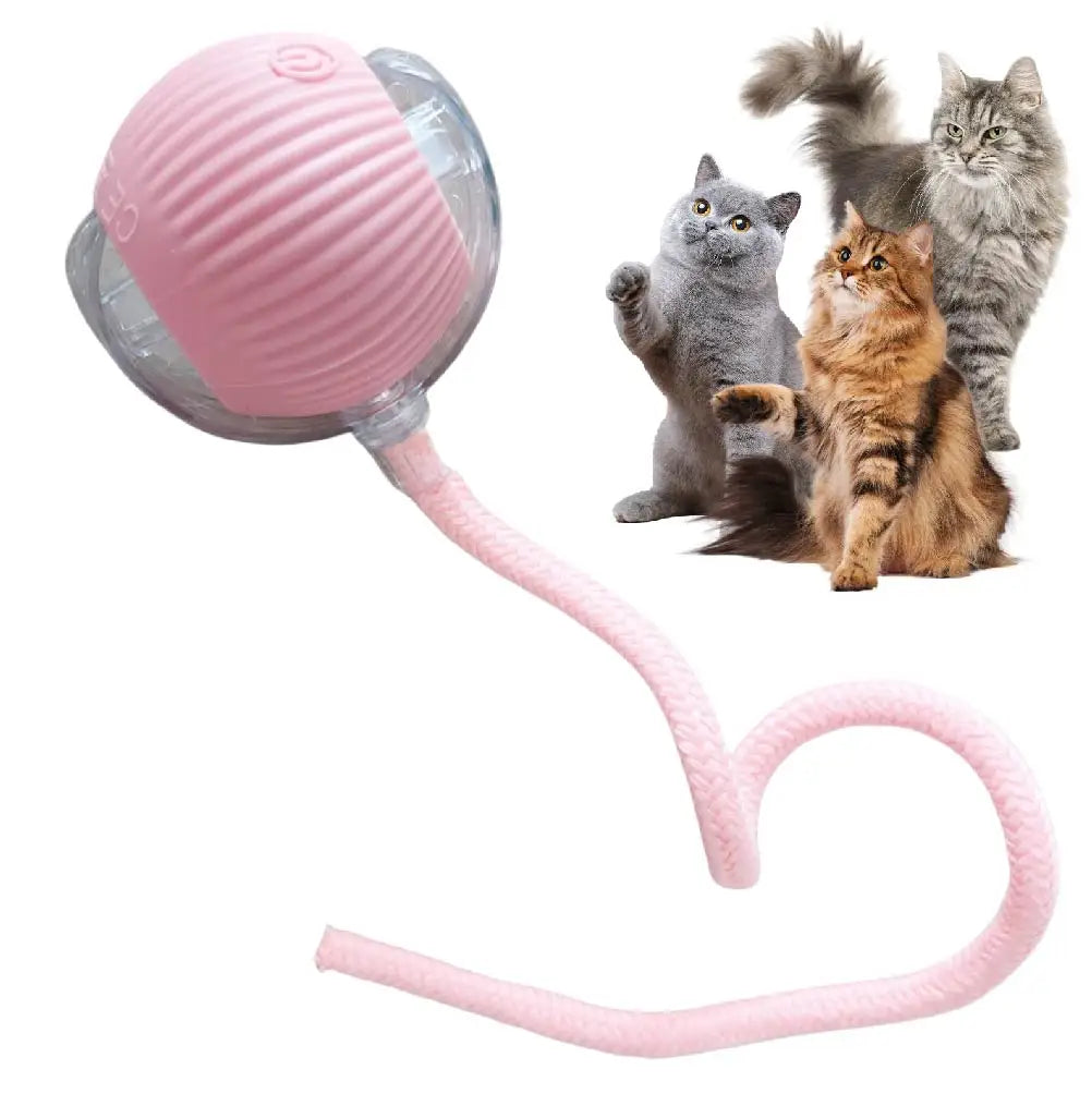 Interactive Dog Cat Toy Ball, Automatic Moving Bouncing Rolling, Pet Smart Chase Ball Rechargeable, Enrichment Toys