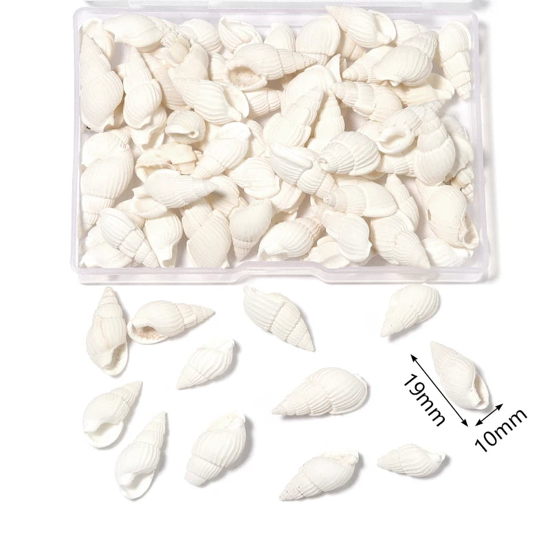 1 Box Sea Shell Spiral Shell Tiny Ocean Spiral Seashell Conch Crafts Aquarium Decoration Landscaping Accessory Photography Props