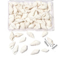 1 Box Sea Shell Spiral Shell Tiny Ocean Spiral Seashell Conch Crafts Aquarium Decoration Landscaping Accessory Photography Props