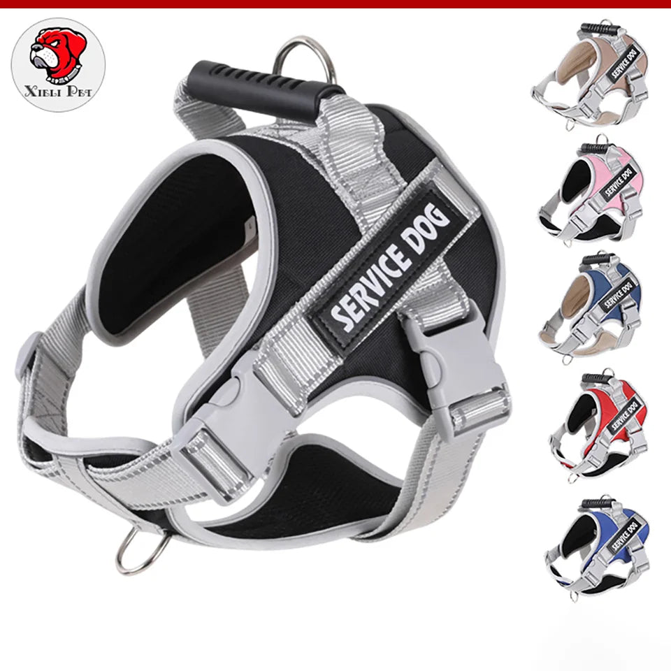 No-Pull Adjustable Dog Harness With Leash