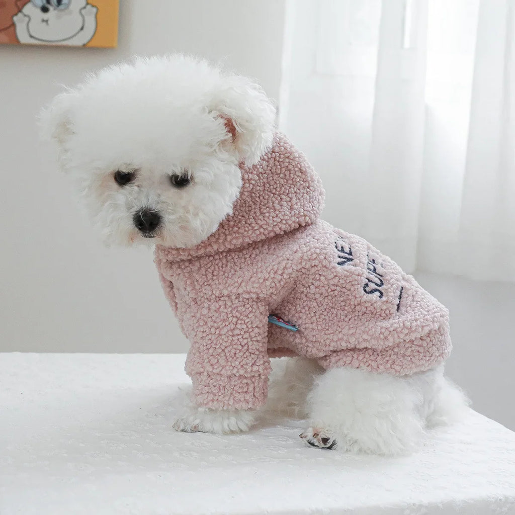 Autumn and Winter Pet Lamb Fleece Hooded Jacket Puppy and Cat Clothes New Models Thick and Warm Letter Hoodie Pet Clothes
