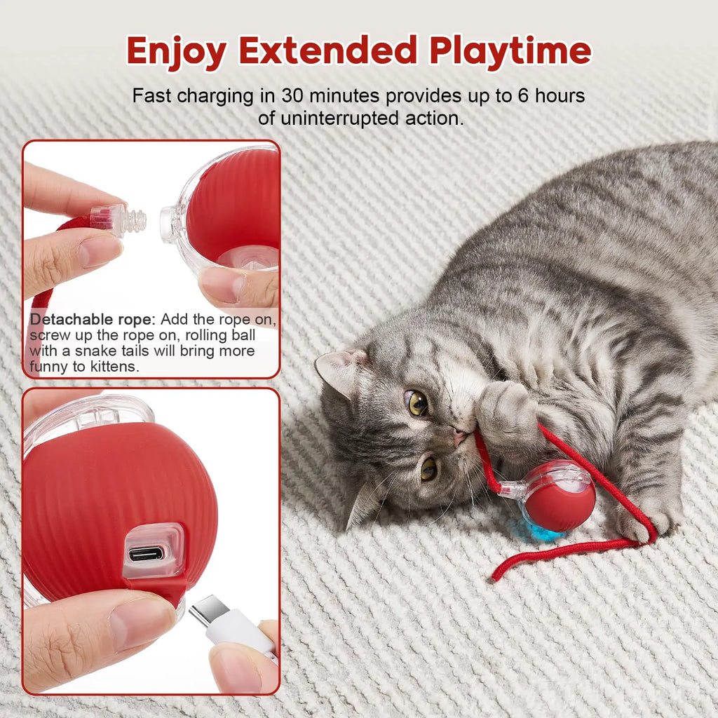 Interactive Dog Cat Toy Ball, Automatic Moving Bouncing Rolling, Pet Smart Chase Ball Rechargeable, Enrichment Toys
