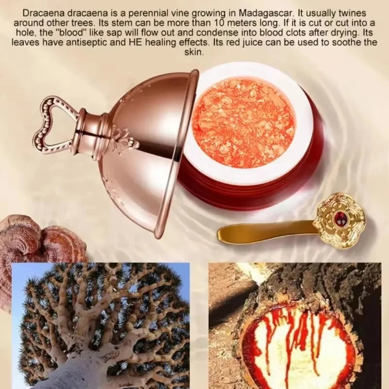 Dragon's Blood Face Cream Retinol Placenta Essence Cream Brightening Lift Firming Skin Care Korean Cosmetics