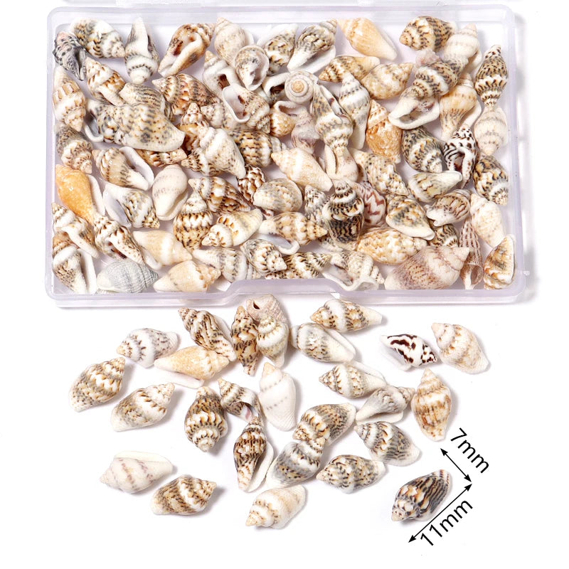 1 Box Sea Shell Spiral Shell Tiny Ocean Spiral Seashell Conch Crafts Aquarium Decoration Landscaping Accessory Photography Props