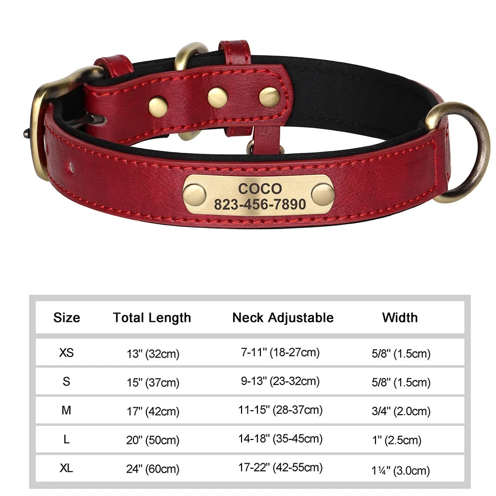 Personalized Customized Leather ID Nameplate Dog Collar Soft Padded
