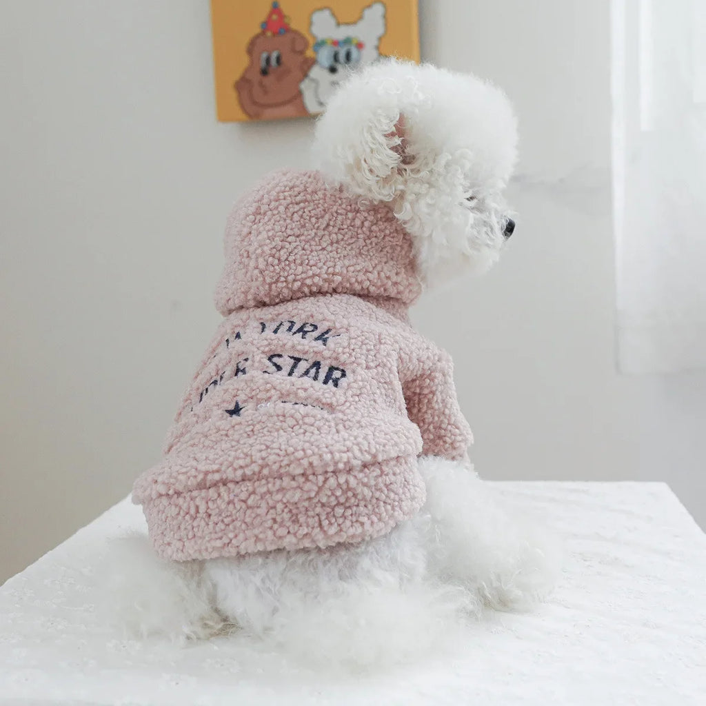 Autumn and Winter Pet Lamb Fleece Hooded Jacket Puppy and Cat Clothes New Models Thick and Warm Letter Hoodie Pet Clothes