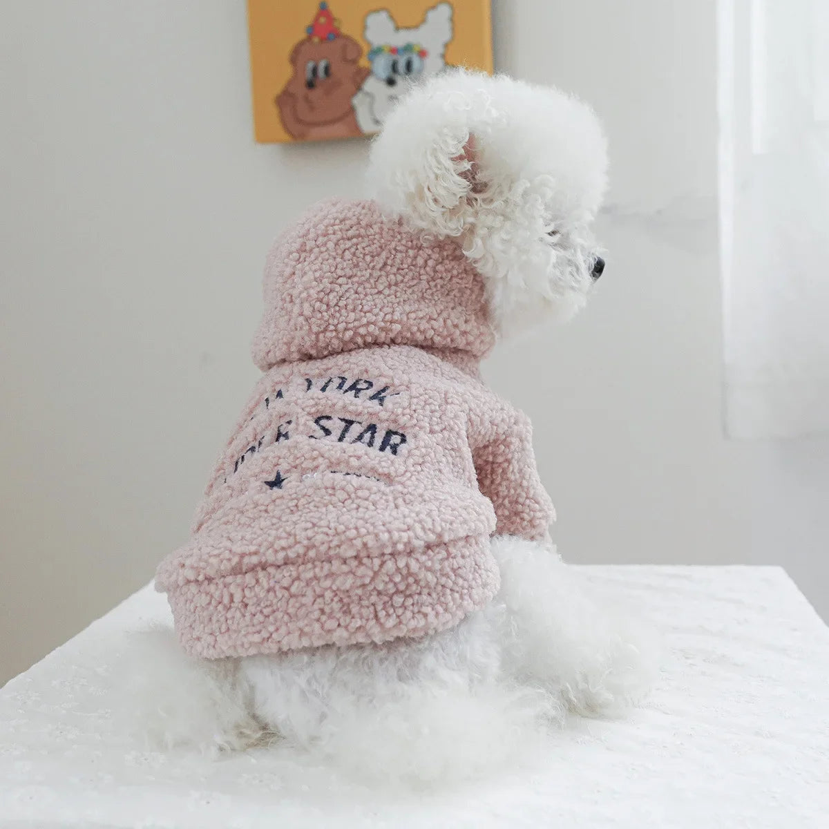 Autumn and Winter Pet Lamb Fleece Hooded Jacket Puppy and Cat Clothes New Models Thick and Warm Letter Hoodie Pet Clothes