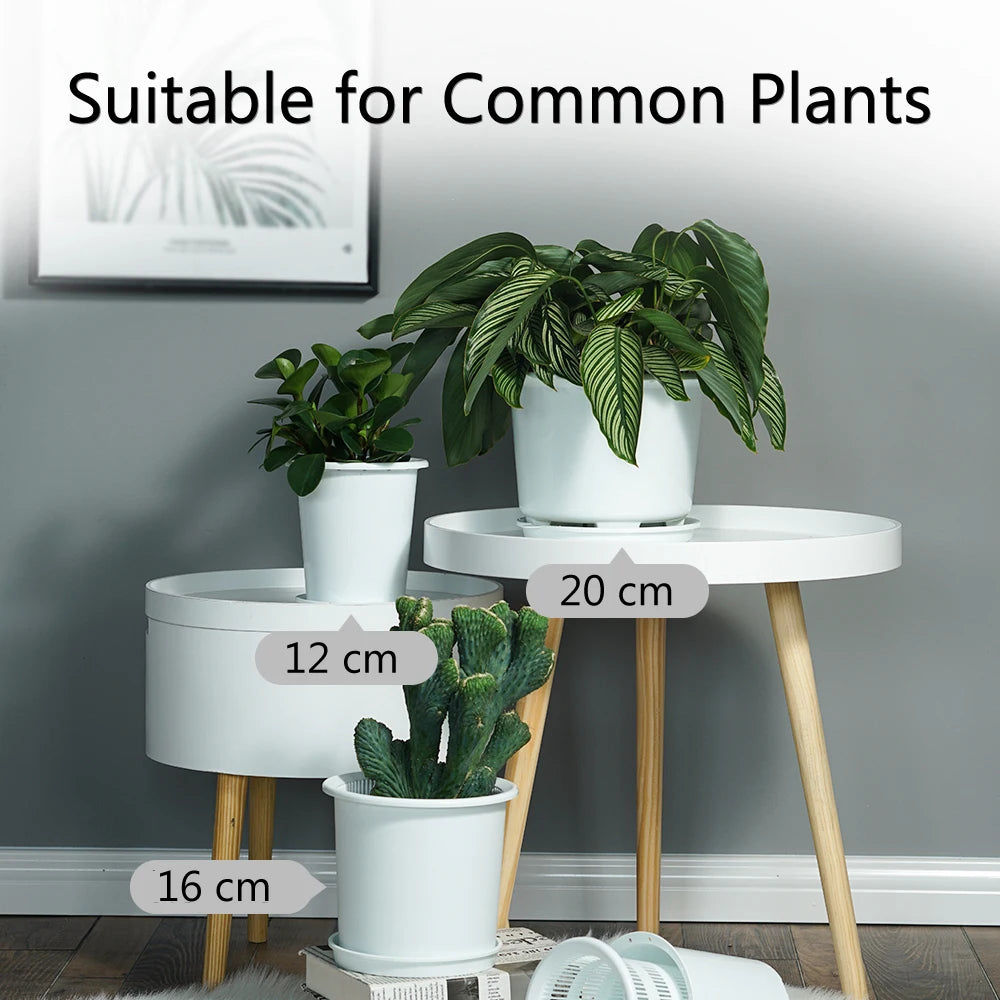 Meshpot 20cm Plastic Orchid Pot Flower Pot Garden Pot Planter Holder Home Decor,Enhance Root Quantity and Activity Good air