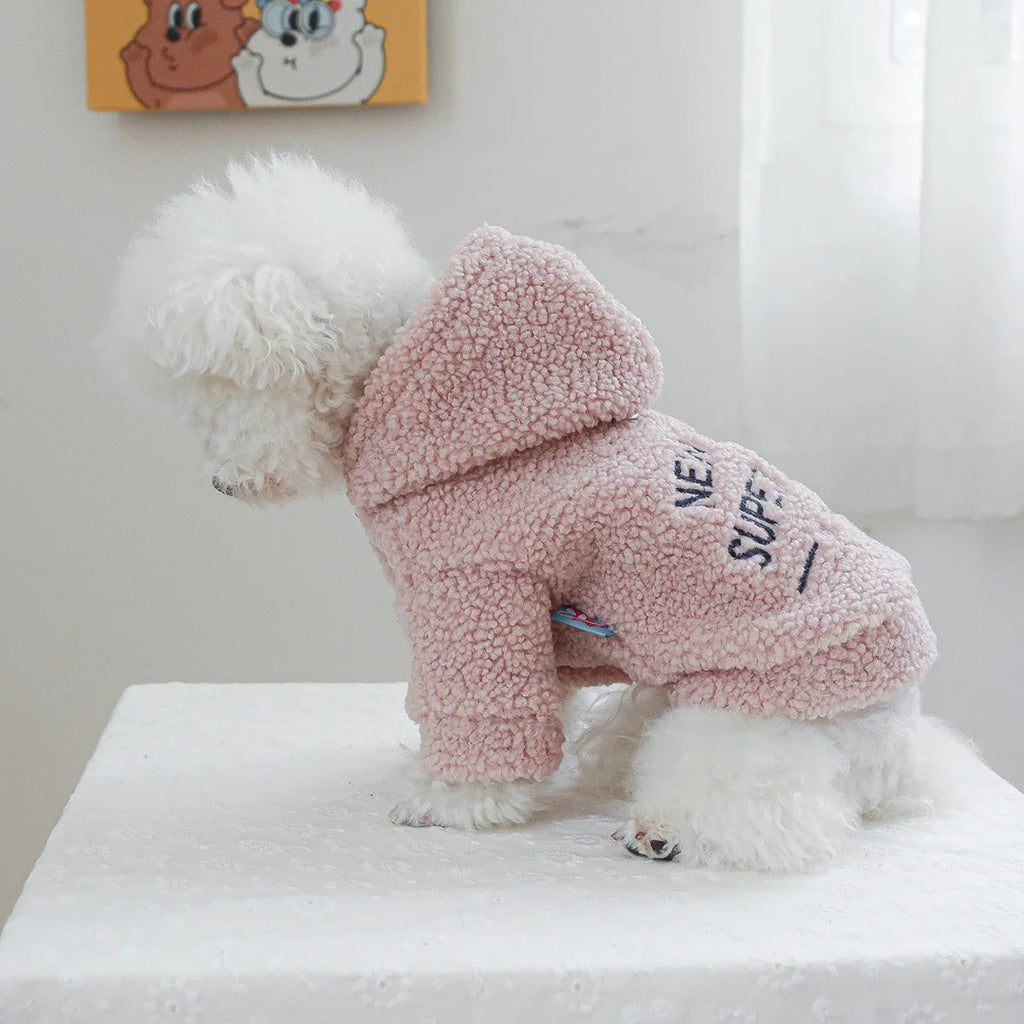 Autumn and Winter Pet Lamb Fleece Hooded Jacket Puppy and Cat Clothes New Models Thick and Warm Letter Hoodie Pet Clothes
