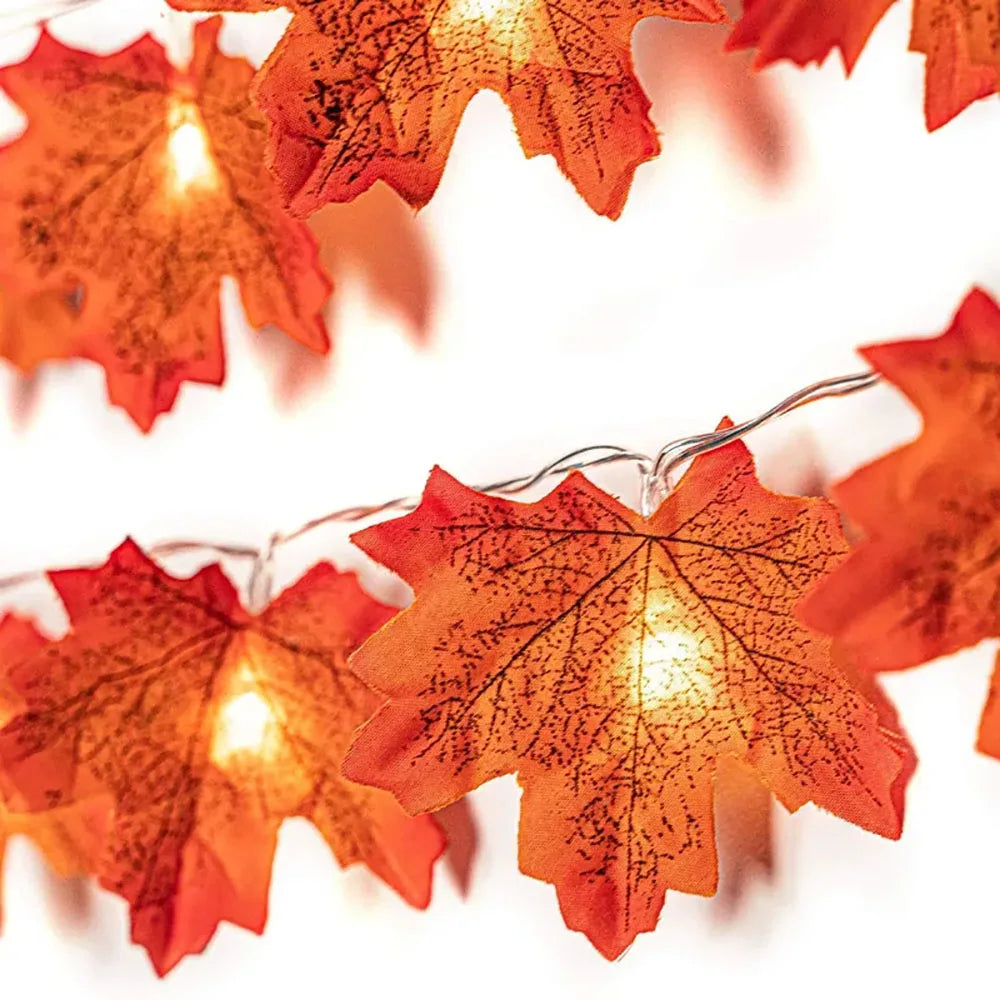 2/3/6M Halloween LED Lights String