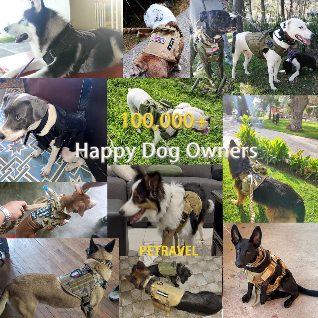 Tactical Dog Harness with Collar, Leash & Pouches