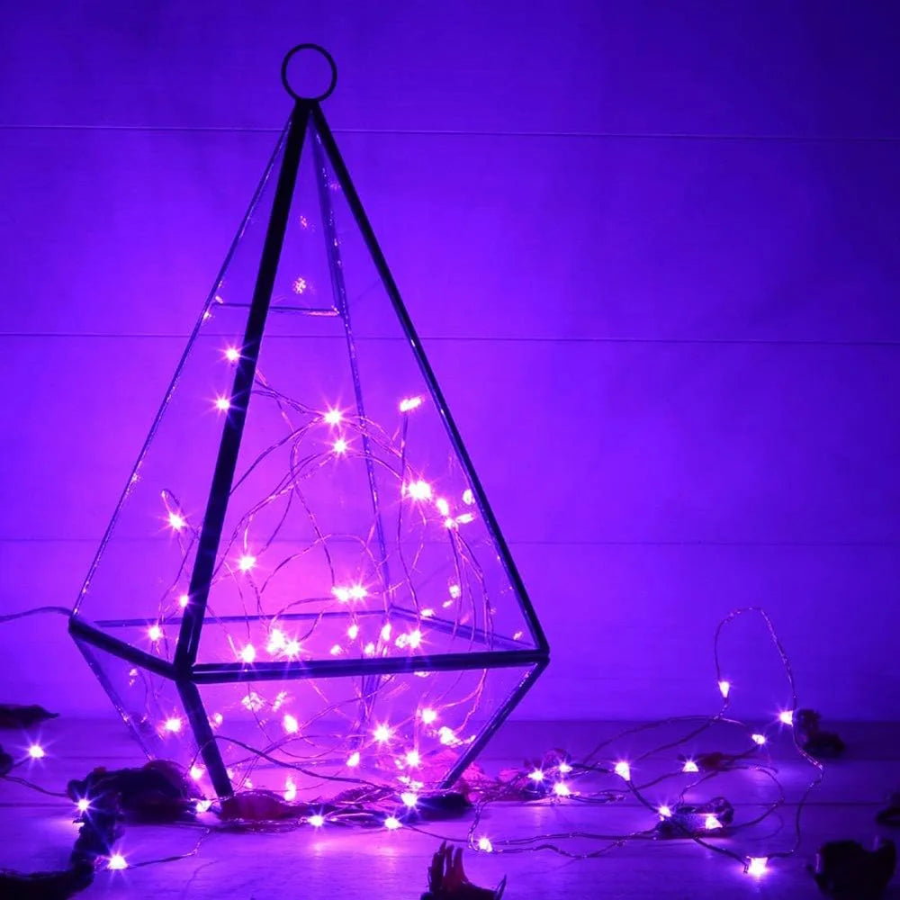 30/50/100LED Copper Wire String Lights Battery Powered Halloween Purple