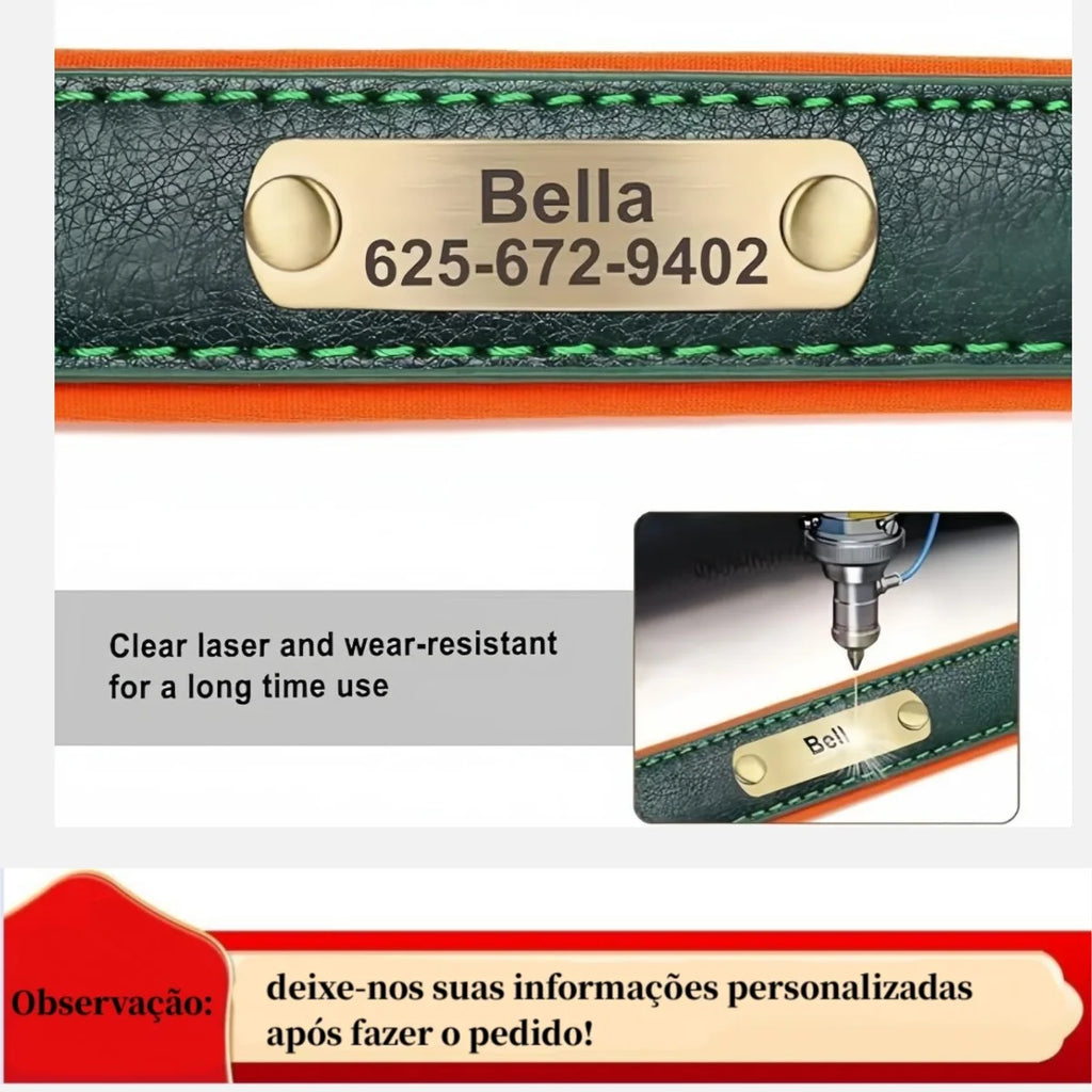 Personalized Customized Leather ID Nameplate Dog Collar Soft Padded