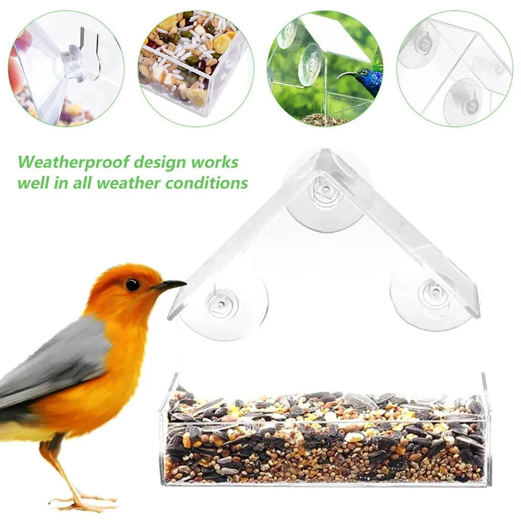 Acrylic Bird Feeder Clear Window Outside Hanging Bird Feeder House with Suction Cup for Garden Outdoor Backyard Wildlife Birding