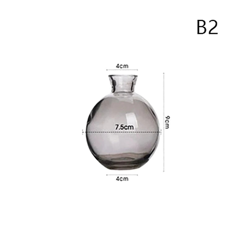 Transparent Glass Vase Avocado Seed Starters Vase Seed Growing Kit Avocado Vase For Growing Gift For Gardening Lovers Home Decor
