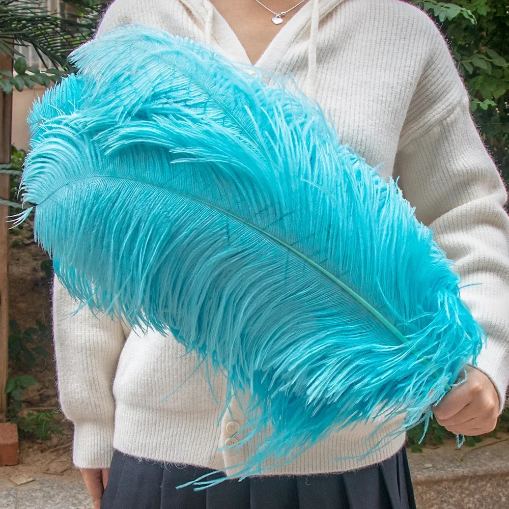 Wholesale 10PCS Natural Ostrich Feathers 15-55cm for Crafts Wedding Party Home Decor Ostrich Plumes Table Centerpiece Feather