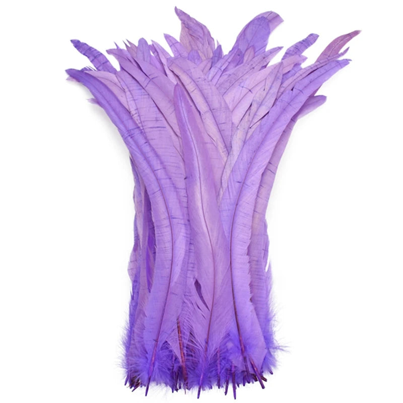 Top Quality 50 Pcs Pure White Rooster Tail Feather 30-35cm 12-14inch Natural Feathers Wedding Decoration clothing accessories