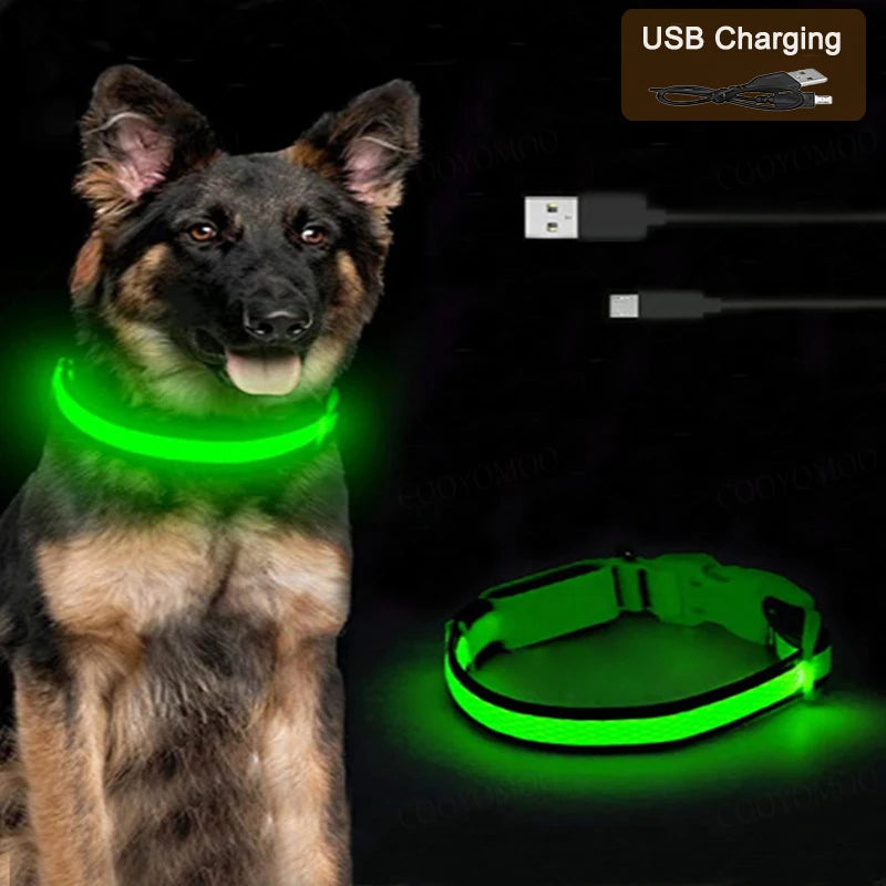 3 Modes Dog Luminous Charge Collar Led Usb Cat