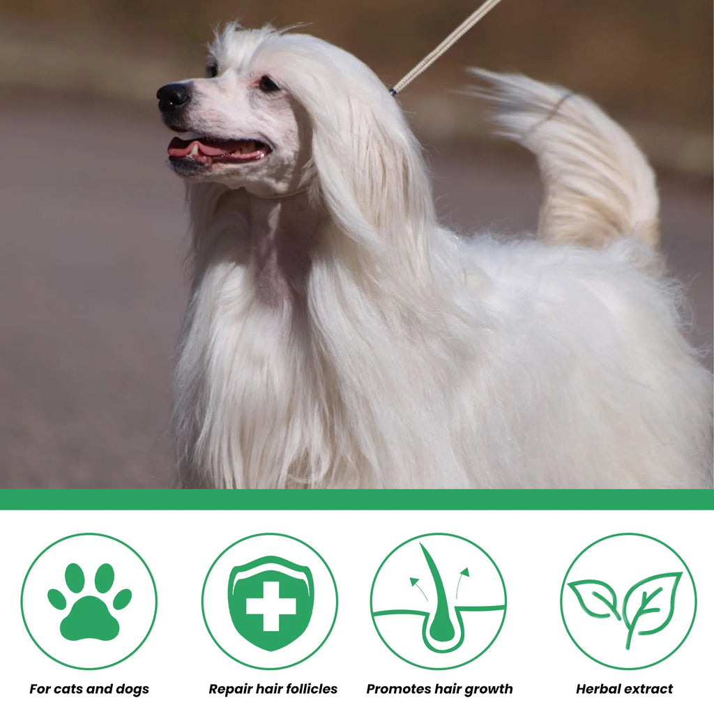 Pet hair enhancer cat and dog hair conditioning and repair damaged hair follicles hair loss care spray