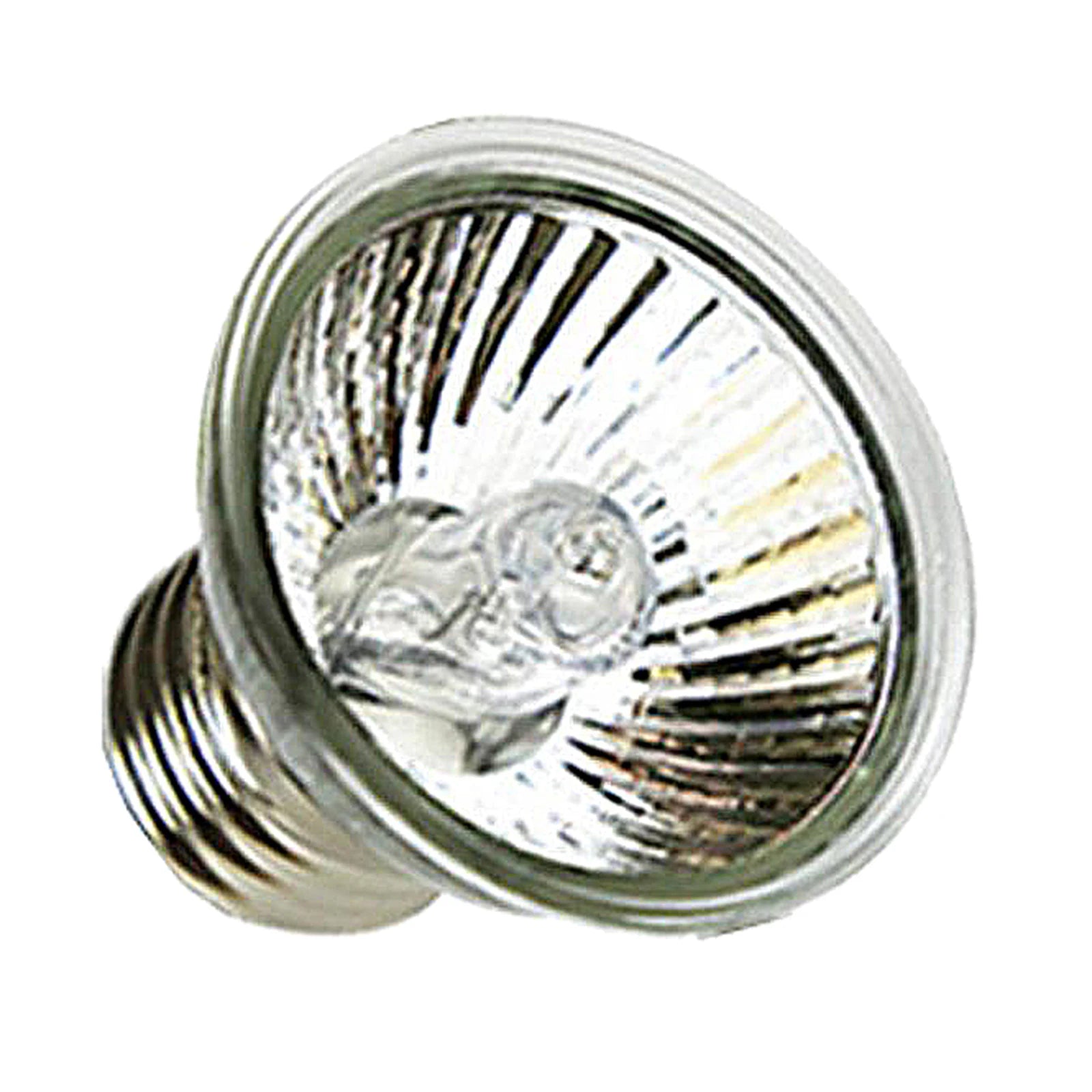 25/50W UVA+UVB Reptile Lamp Turtle Heating Lamp Mini Pet Heat Bulb Amphibians Lizards Temperature Controller Light