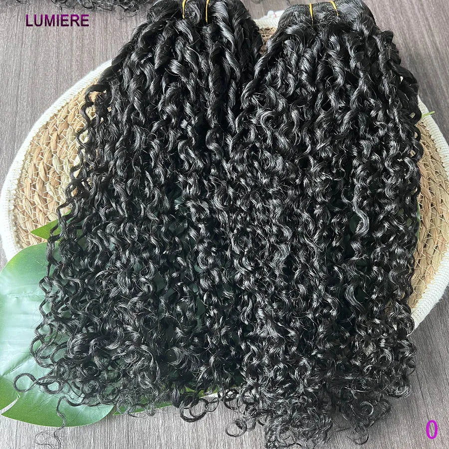 Bouncy Burmese Pixie Curly Human Hair Bundles with Closure