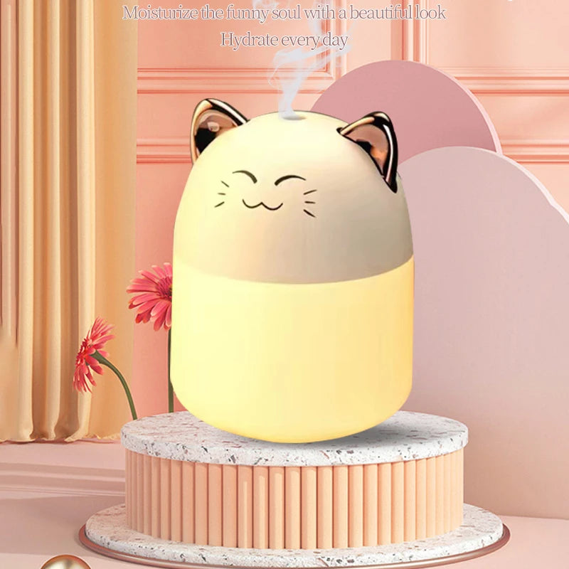 Cute Mini USB Desktop Humidifier