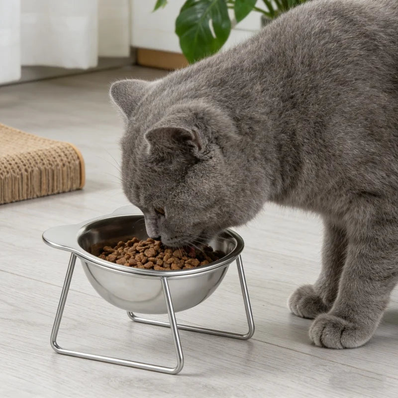 Booteely Tilted Cat Bowl Stainless Steel Cat Food Bowls with Metal
