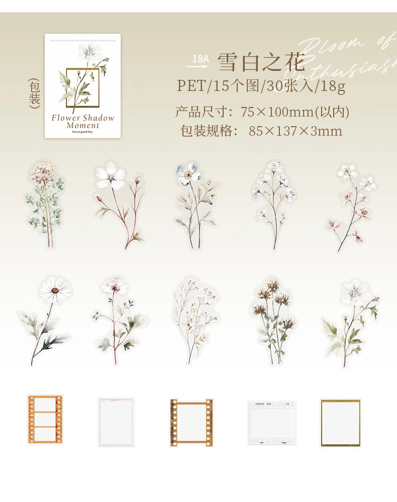 30 pcs film and Flowers Plant Stickers pack Creativity PET Decorative Sticker for DIY Diary Scrapbooking Junk Journal Supplies
