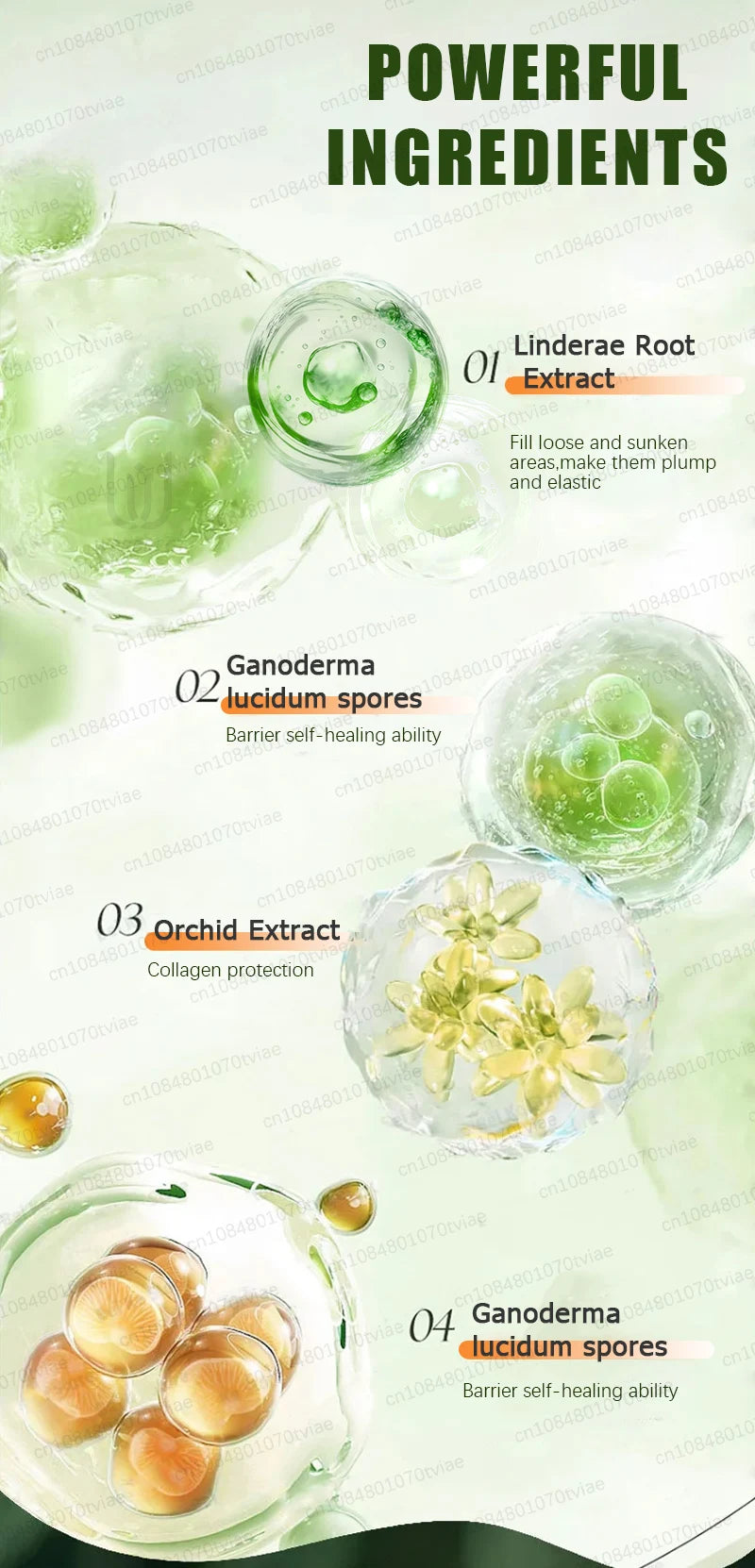 Anti-wrinkle facial essence anti-aging anti-wrinkle essence brightening and firming whitening moisturizing skin care