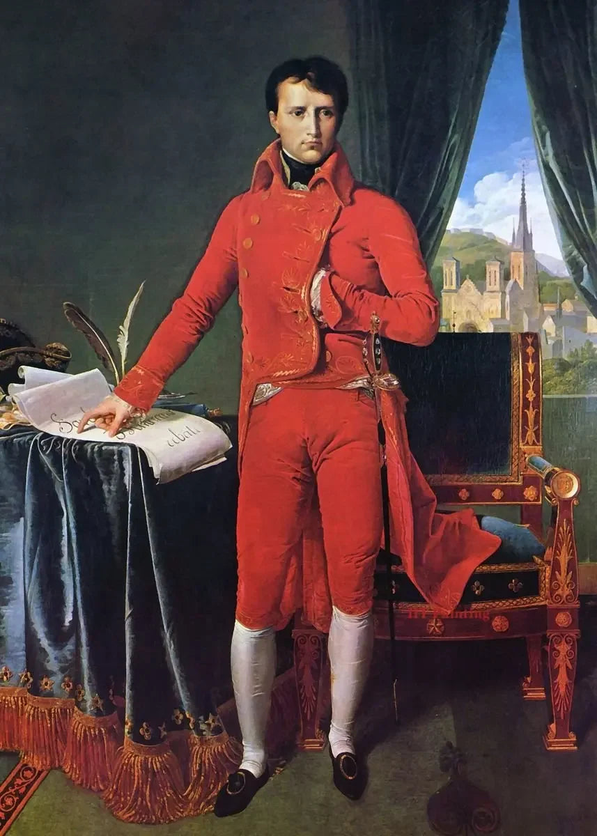 Vintage Classic Napoleon Bonaparte Coronation Wall Art, Canvas Print Poster, Suitable for, Home, Living Room, Office Decoration