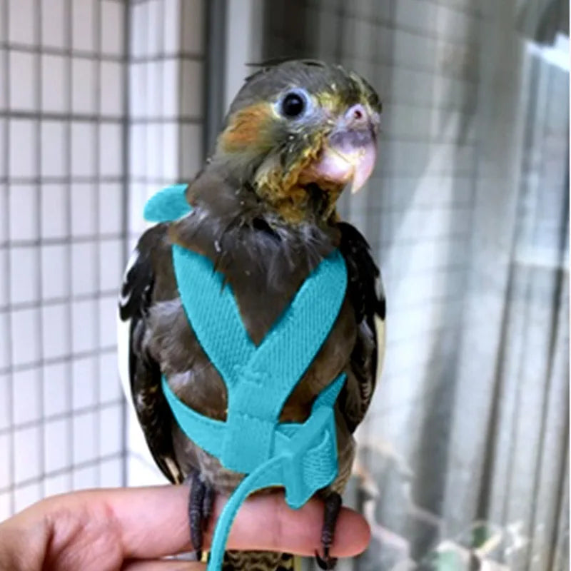 Adjustable Parrot Bird Harness Leash Set Anti-bite Training Harness Parrots Outdoor Flying Rope Cockatiel Small Birds Supplies