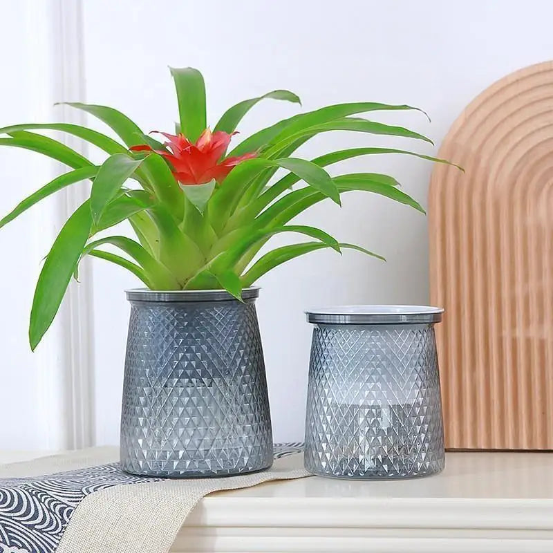 1 Pcs Transparent Self Watering Flower Pot Plastic Plantpot Dual-layer Automatic Lazy Potted Hydroponic Flowerpot for Home Decor