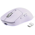 Wireless Ergonomic Gaming Mouse, 26K DPI Sensor