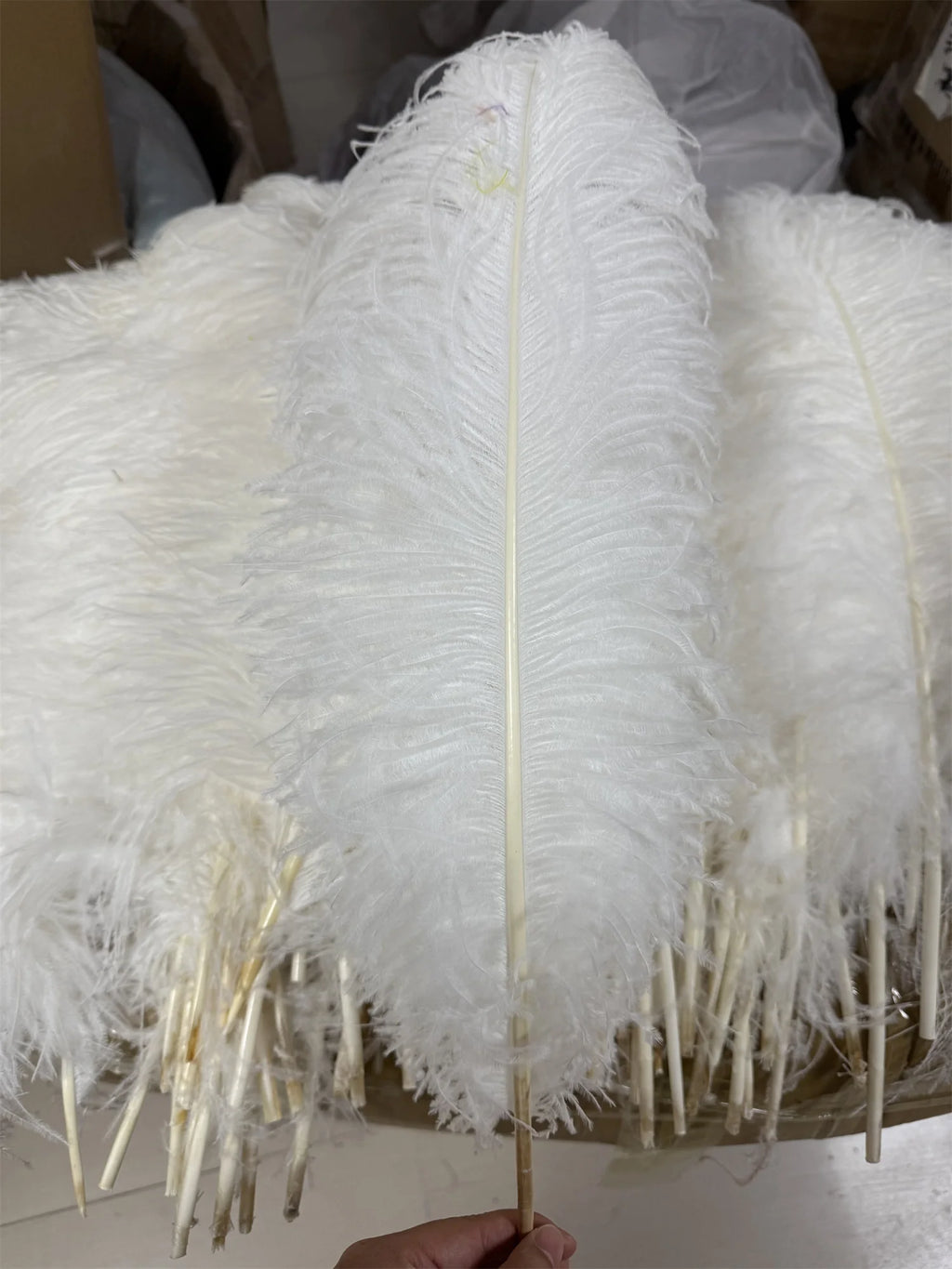 10PCS/Lot White Ostrich Feathers Plume for Wedding Table Centerpieces Carnival Prime Decor  45-50CM 55-60CM Ostrich Plumas Large