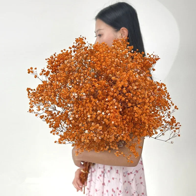 100g Dried Flowers Baby Breath Preserved Flowers Gypsophila Bouquet Boho Home Decor Colorful Gypsophile Wedding Party Decoration