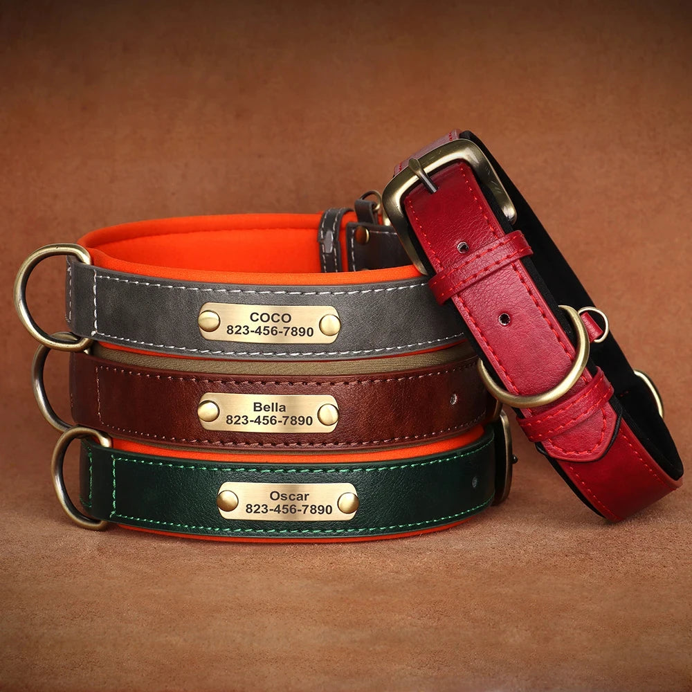 Personalized Customized Leather ID Nameplate Dog Collar Soft Padded