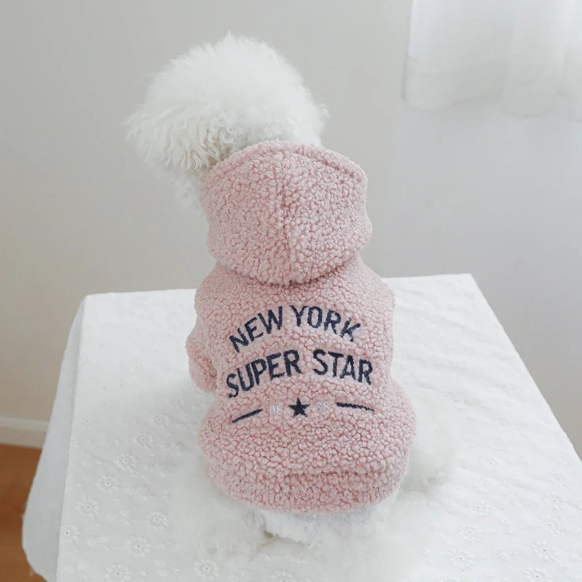 Autumn and Winter Pet Lamb Fleece Hooded Jacket Puppy and Cat Clothes New Models Thick and Warm Letter Hoodie Pet Clothes