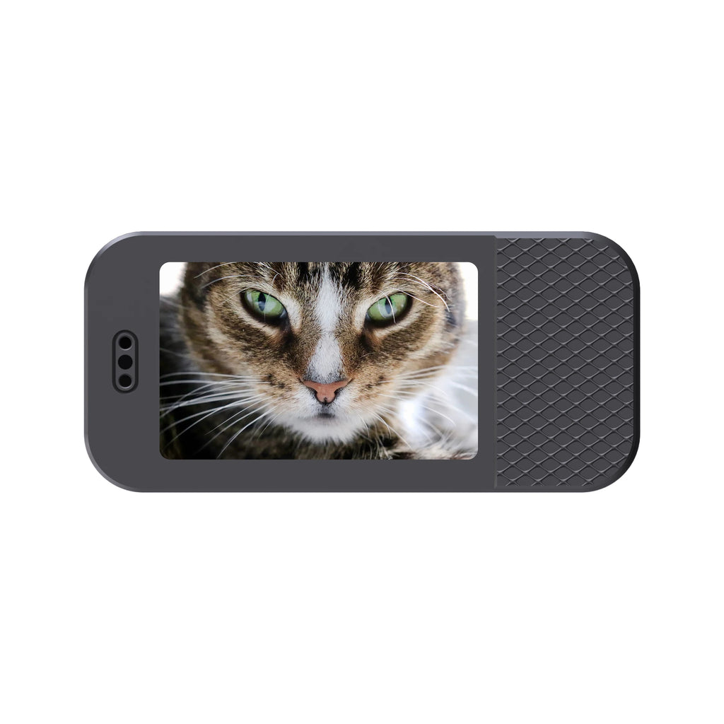 HD 1080P Pet Cameras Outdoors Wireless Collar Camera No WiFi Needed Video Records for Cats Dogs Birthday Gift Mini Camera