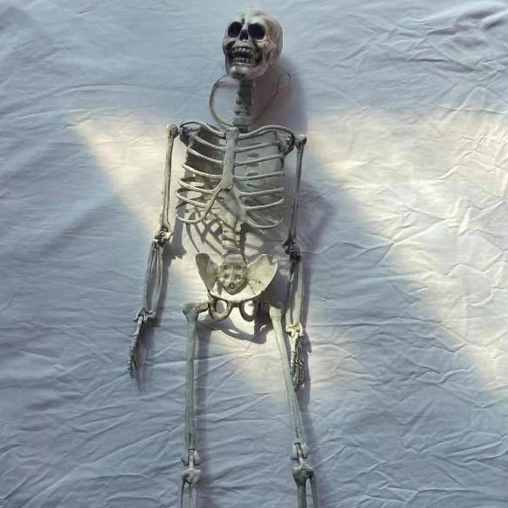 Halloween Horror Skeleton Statue Movable/Posable Joints Scary Skull Ornament Halloween Theme for Yard Garden Patio Haunted House
