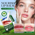 SADOER Moisturizing Lipstick Plump Lips Nourishing Hydrating Anti Wrinkles Lip Balm Lips Plumper Beauty Skin Care