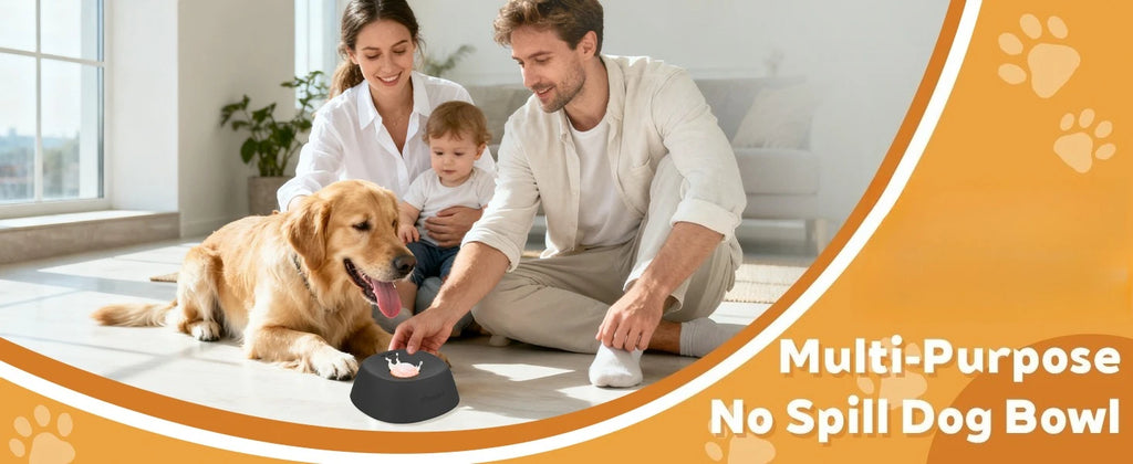 Dog/cat licking bowl, pet licking toy slow food bowl, makes dogs/cats love licking.