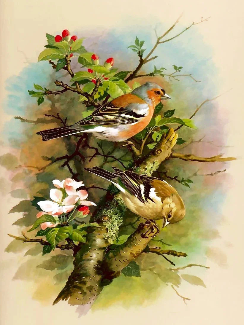 Huacan Diy Diamond Painting Animal Full Drill Embroidery Bird Home Decor Gift Rhinestone Pictures Craft Kit