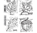 Stampersanonymous Christmas Halloween Stamp for DIY Card Scrapbook Embossed