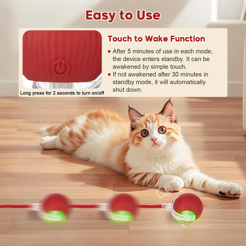 Interactive Dog Cat Toy Ball, Automatic Moving Bouncing Rolling, Pet Smart Chase Ball Rechargeable, Enrichment Toys
