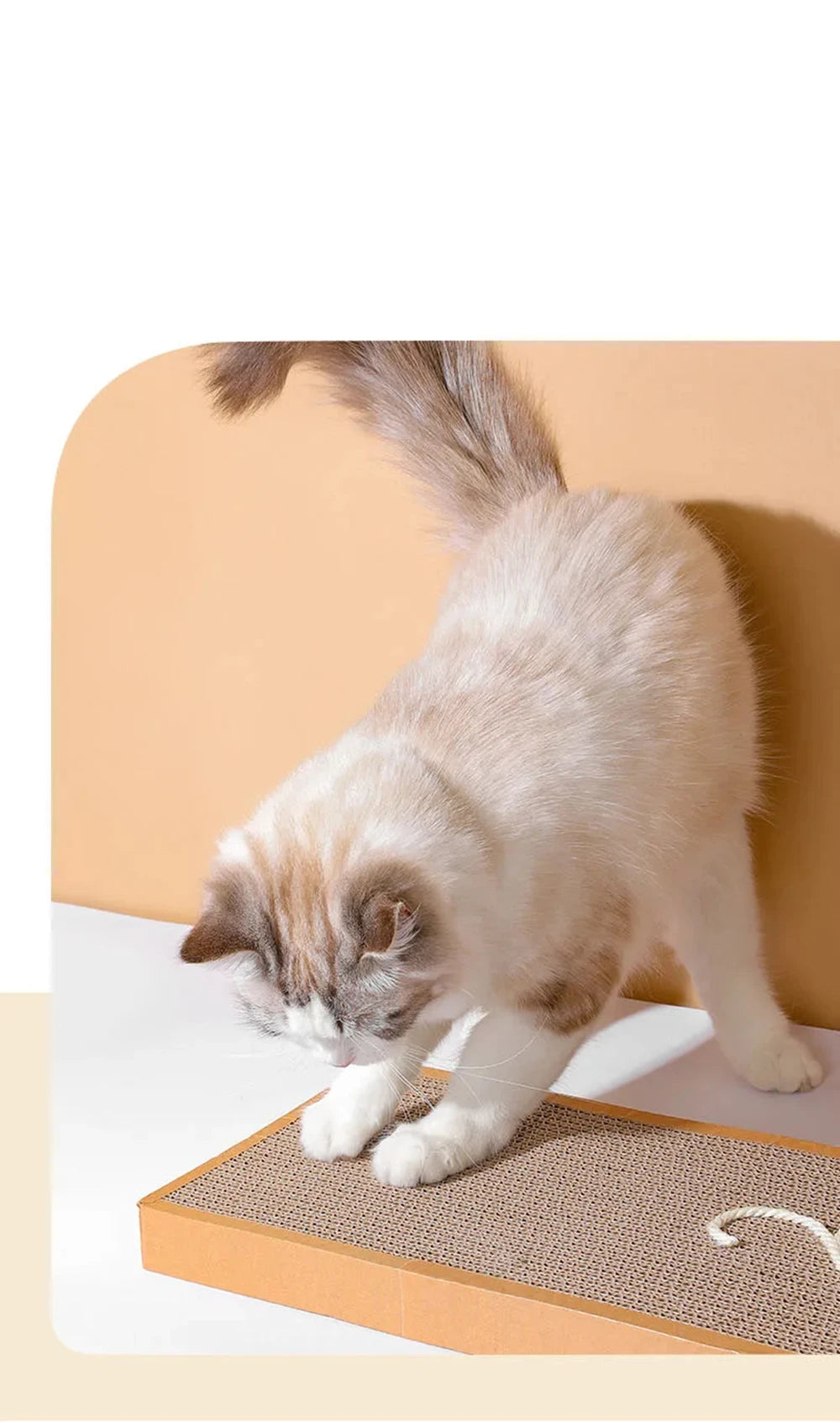 Pet Cat Scratching Board Cat Cardboard Mat Scraper Grinding Claw Toys for Cat Scratcher Cat Furniture Protector Cat Accesorios