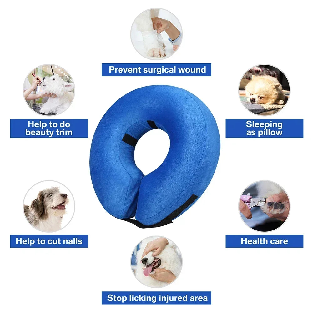 Dog Cones After Surgery