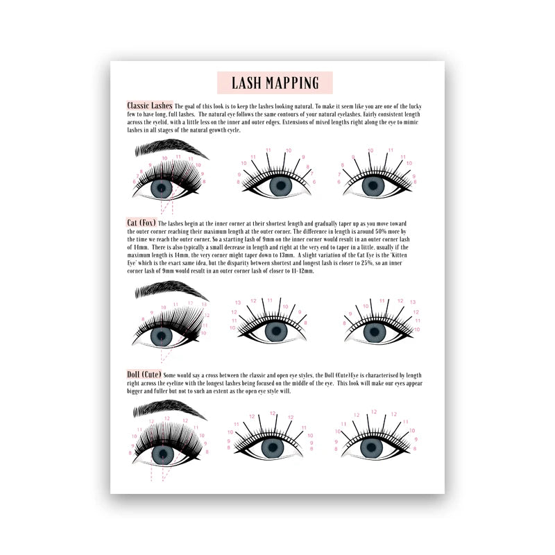 Lash Extensions Technician Guide Posters and Prints Makeup Wall Art Picture Room Decor Eyelash Business Form Art Canvas Poster
